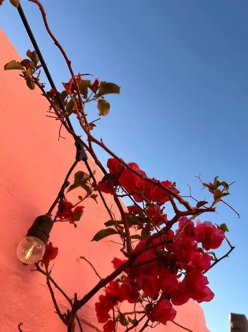 The Dolls House Villa Cape Town Tatil Evi