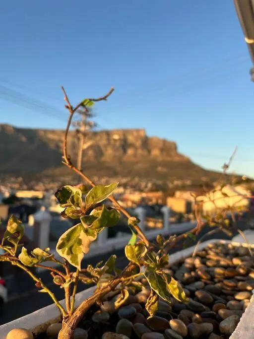 The Dolls House Villa Cape Town